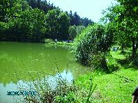 Bilder/thumbnails/DamenundFamilienfischen/Familienfischen (9).JPG